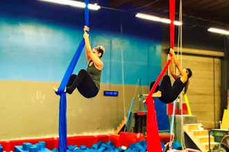 Aerial Strength & Conditioning